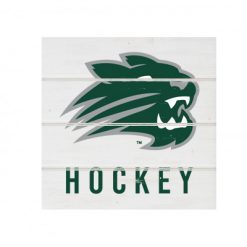 Jenison Hockey White Wood Pallet Coaster  Set of 1  no holder