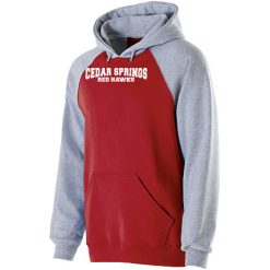 Cedar Springs Youth Banner Hoodie