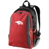 Cedar Springs All-Sport Backpack