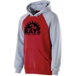Alternative view of RAYS Youth Banner Hoodie