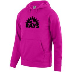 Alternative view of RAYS Youth 60/40 Fleece Hoodie