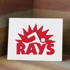 Alternative view of RAYS MetalPrint