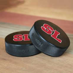 Alternative view of Spring Lake Hockey Puck