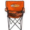 Tiger Sharks Bag Chair