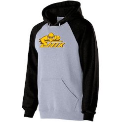 Zeeland East Youth Banner Hoodie